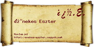 Énekes Eszter névjegykártya